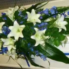 Yrityksen 3 kuva KUKKA- JA HAUTAUSPALVELU HAAKANA Hautaustoimistojen palvelut  Imatra 02