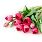 Yrityksen 1 kuva KUKKA-SHOP ROSA  Rauma 17