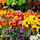 Yrityksen 2 kuva KUKKA-SHOP ROSA  Rauma 17