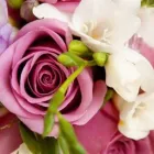 Yrityksen 4 kuva KUKKA-SHOP ROSA  Rauma 17