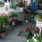 Yrityksen 1 kuva KUKKAKAUPPA ESPOO, LEPPÄVAARAN KUKKA OY Kukkien vähittäiskauppa  Espoo 18