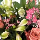 Yrityksen 2 kuva KUKKAKAUPPA ESPOO, LEPPÄVAARAN KUKKA OY Kukkien vähittäiskauppa  Espoo 18