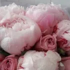 Yrityksen 6 kuva KUKKAKAUPPA ESPOO, LEPPÄVAARAN KUKKA OY Kukkien vähittäiskauppa  Espoo 18