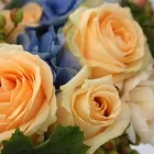 Yrityksen 8 kuva KUKKAKAUPPA ESPOO, LEPPÄVAARAN KUKKA OY Kukkien vähittäiskauppa  Espoo 18