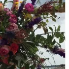 Yrityksen 1 kuva KUKKAKAUPPA FORM & FLORA OY Kukkien vähittäiskauppa  Helsinki 18