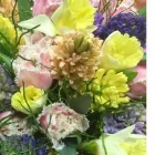 Yrityksen 2 kuva KUKKAKAUPPA FORM & FLORA OY Kukkien vähittäiskauppa  Helsinki 18