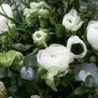 Yrityksen 10 kuva KUKKAKAUPPA FORM & FLORA OY Kukkien vähittäiskauppa  Helsinki 18