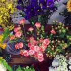 Yrityksen 1 kuva KUKKAKAUPPA KUKKA-LEA Kukkien vähittäiskauppa  Seinäjoki 03