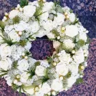 Yrityksen 3 kuva KUKKAKAUPPA LIVING ROOM Kukkien vähittäiskauppa  Helsinki 18