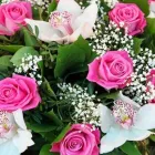 Yrityksen 3 kuva KUKKAKAUPPA LUTUKKA Kukkien vähittäiskauppa  Helsinki 18