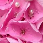 Yrityksen 1 kuva KUKKATALO ROSARIUM OY Kukkien vähittäiskauppa  Kouvola 09