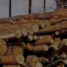 Yrityksen 1 kuva KULJETUS H. KORPI Tieliikenteen tavarankuljetus  Sievi 14