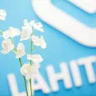 Yrityksen 1 kuva LÄHITAPIOLA LOIMI-HÄME, VALKEAKOSKI  Valkeakoski 11