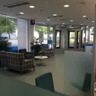 Yrityksen 1 kuva LÄHITAPIOLA VELLAMO, KOUVOLA  Kouvola 09