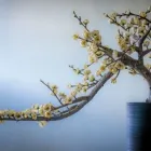 Yrityksen 3 kuva LAKIASIAINTOIMISTO FIDUCIUS OY Lakiasiaintoimistot  Vantaa 18