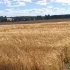 Yrityksen 4 kuva LANTMÄNNEN AGRO TAMPERE Rauta- ja rakennustarvikkeiden yleisvähittäiskauppa  Nokia 11