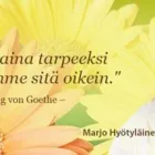 Yrityksen 2 kuva LASKENTAMAA OY Kirjanpito- ja tilinpäätöspalvelu  Mikkeli 04