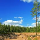 Yrityksen 4 kuva MAANRAKENNUS MAP-KONE OY Rakennuspaikan valmistelutyöt  Kajaani 05