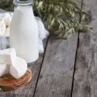 Yrityksen 3 kuva MÄEN MAATILA OY Viljakasvien (pl. riisin), palkokasvien ja öljysiemenkasvien viljely  Raatala 19