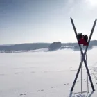 Yrityksen 2 kuva MANKKAAN SUKSIHUOLTO OY Urheilualan tukkukauppa  Espoo 18