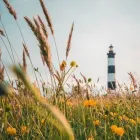 Yrityksen 1 kuva MEEDIUS INTERNATIONAL Varauspalvelut, matkaoppaiden palvelut ym.  Helsinki 18