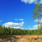 Yrityksen 1 kuva MERTSI TOIVONEN OY  Halikko 19