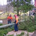 Yrityksen 3 kuva METSÄ JA SÄHKÖ ESKO MÄKELÄ TMI Sähköasennus  Oulainen 14