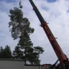 Yrityksen 4 kuva METSÄ JA SÄHKÖ ESKO MÄKELÄ TMI Sähköasennus  Oulainen 14