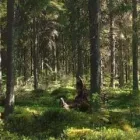 Yrityksen 4 kuva METSÄNHOITOYHDISTYS PYHÄ-KALA KALAJOEN TOIMISTO  Kalajoki 14