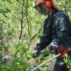 Yrityksen 7 kuva METSÄNHOITOYHDISTYS PYHÄ-KALA KALAJOEN TOIMISTO  Kalajoki 14