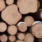 Yrityksen 2 kuva METSÄNHOITOYHDISTYS PYHÄ-KALA MERIJÄRVEN TOIMISTO Metsänhoito  Merijärvi 14