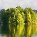 Yrityksen 7 kuva METSÄNHOITOYHDISTYS PYHÄ-KALA VIHANNIN TOIMISTO  Vihanti 14