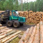 Yrityksen 2 kuva METSÄSUUNNITTELU HOLLANTI OY Metsätaloutta palveleva toiminta  Oulainen 14