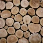 Yrityksen 4 kuva METSÄSUUNNITTELU HOLLANTI OY Metsätaloutta palveleva toiminta  Oulainen 14