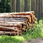 Yrityksen 6 kuva METSÄSUUNNITTELU HOLLANTI OY Metsätaloutta palveleva toiminta  Oulainen 14