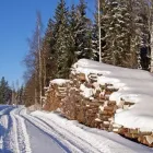 Yrityksen 2 kuva METSÄTYÖ PASI LEINONEN Puunkorjuu  Mikkeli 04