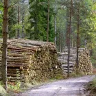 Yrityksen 3 kuva METSÄTYÖ PASI LEINONEN Puunkorjuu  Mikkeli 04