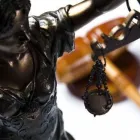 Yrityksen 1 kuva MIKKO TAPOLA OY Asianajotoimistot  Pirkkala 11