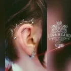 Yrityksen 10 kuva NITOMO  Rovaniemi LL