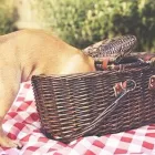 Yrityksen 4 kuva OMAELÄINKLINIKKA TAMPERE  Tampere 11