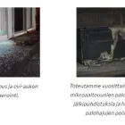 Yrityksen 3 kuva OPTIMASIIVOUS, OPTIMA-VAHINKOPALVELU, OPTIMA-SANEERAUSPALVELU TAMPERE  Tampere 11