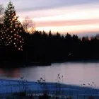 Yrityksen 1 kuva PÄHKINÄHOITO OY  Vantaa 18