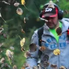 Yrityksen 3 kuva PÄHKINÄHOITO OY  Vantaa 18