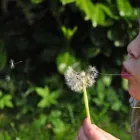 Yrityksen 1 kuva PÄIVÄKOTI NORTHERN LIGHTS PLAYSCHOOL Lasten päiväkodit  Rovaniemi LL