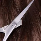 Yrityksen 1 kuva PARTURI-KAMPAAMO SAXIA Parturit ja kampaamot  Rauma 17