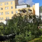 Yrityksen 7 kuva PE PALVELUT  Sipoo 18
