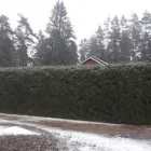 Yrityksen 2 kuva PIHA-AURA Maisemanhoitopalvelut  Aura 19