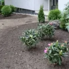 Yrityksen 5 kuva PIHA-AURA Maisemanhoitopalvelut  Aura 19