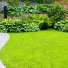 Yrityksen 8 kuva PIIRAISEN VIHERPALVELU OY Maisemanhoitopalvelut  Kajaani 05