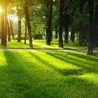 Yrityksen 10 kuva PIIRAISEN VIHERPALVELU OY Maisemanhoitopalvelut  Kajaani 05